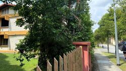 Ang Mo Kio Avenue 4 (D20), Semi-Detached #481300721